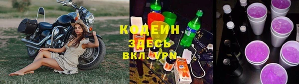 индика Горно-Алтайск