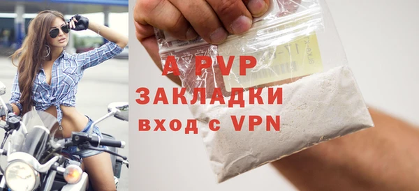 индика Горно-Алтайск