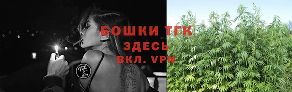 индика Горно-Алтайск
