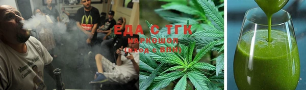 индика Горно-Алтайск