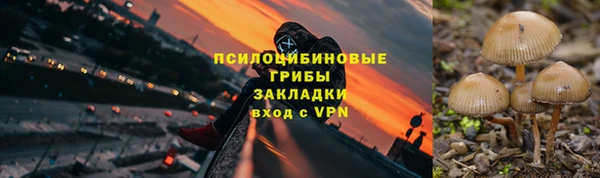spice Горнозаводск