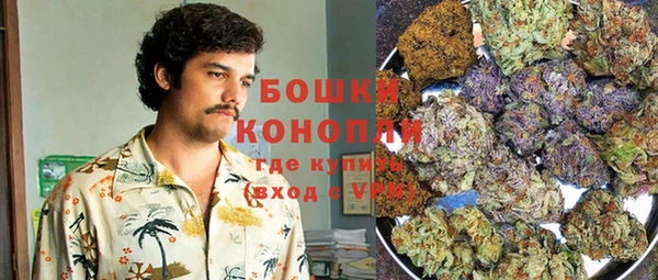 индика Горно-Алтайск