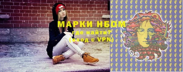 индика Горно-Алтайск