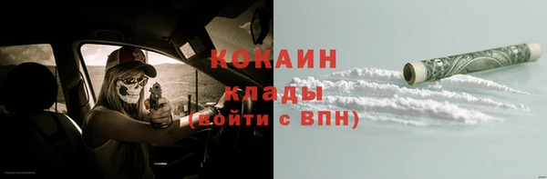индика Горно-Алтайск
