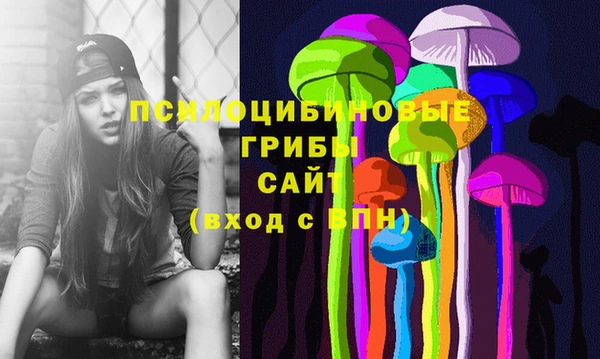 spice Горнозаводск