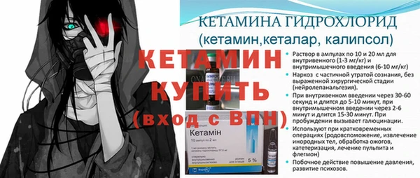 индика Горно-Алтайск