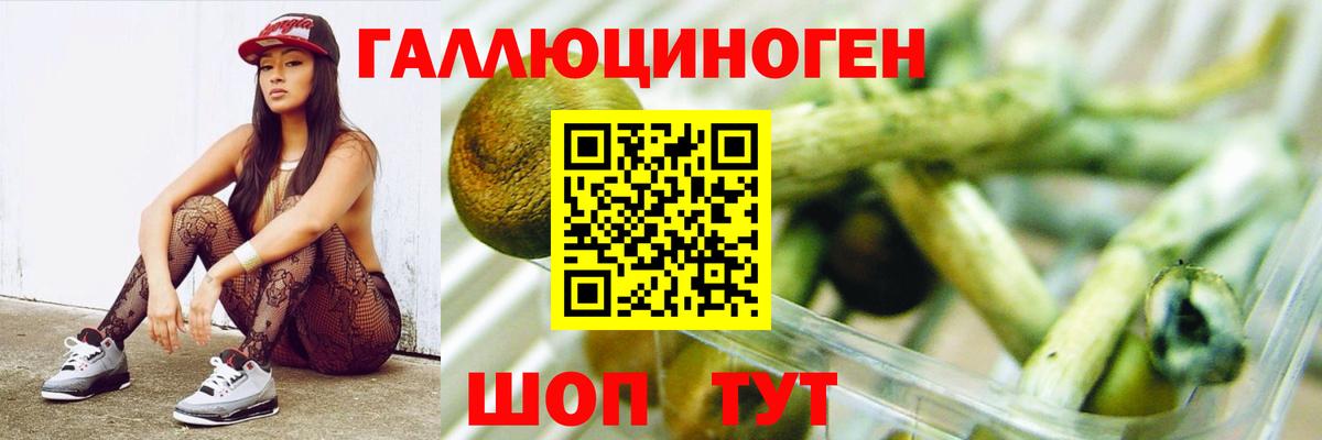 Галлюциногенные грибы ЛСД  Вход с VPN  цены наркотик  Галлюциногенные грибы мухоморы  Зерноград 